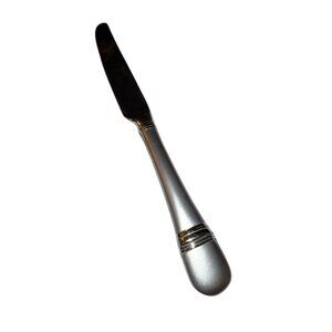 Oneida Astragal 18/10 Frost Glossy Stainless French Hollow Dinner Knife 9-1/2"